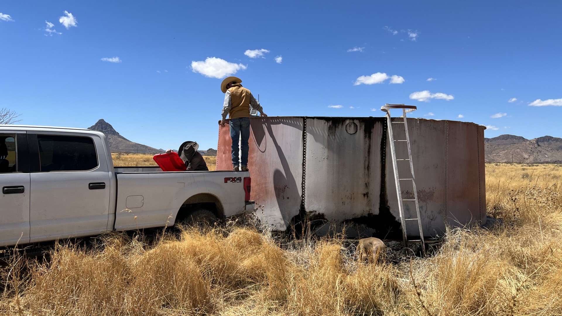 a rancher on the back of a truck checking a water tank